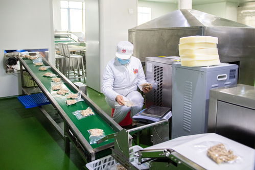 新華全媒+丨湖南寧鄉(xiāng) 食品企業(yè)加工忙 紡紗企業(yè)趕工急