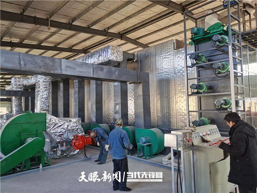 施秉 萬畝魔芋產(chǎn)業(yè)升級，深加工與紡紗雙輪驅(qū)動